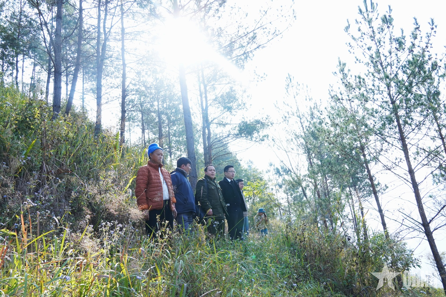 Xã Sơn Vĩ (Tuyên Quang) kiểm tra thực địa, sẵn sàng trồng mới 40ha rừng

